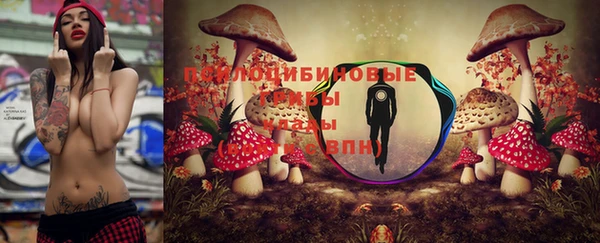 молекула духа Балахна