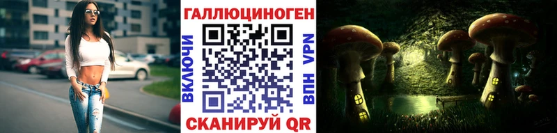Псилоцибиновые грибы Psilocybe  блэк спрут   нарко площадка какой сайт  что такое наркотик  Новопавловск 