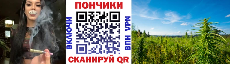Бошки марихуана индика  наркота  shop Telegram  Новопавловск  мега онион 
